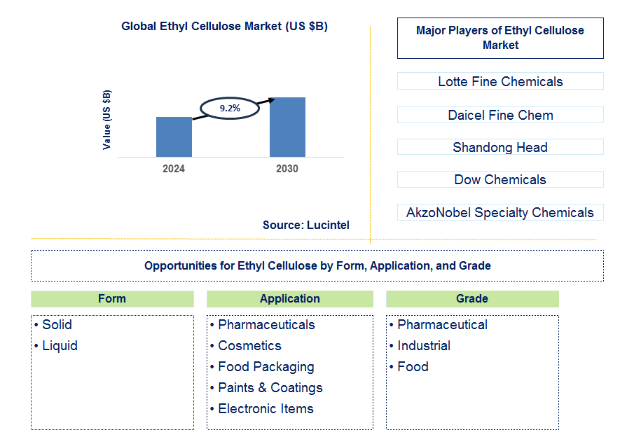 Ethyl Cellulose Trends and Forecast